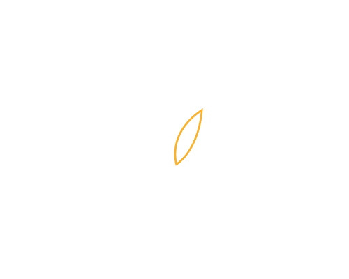 Communication Gaps
